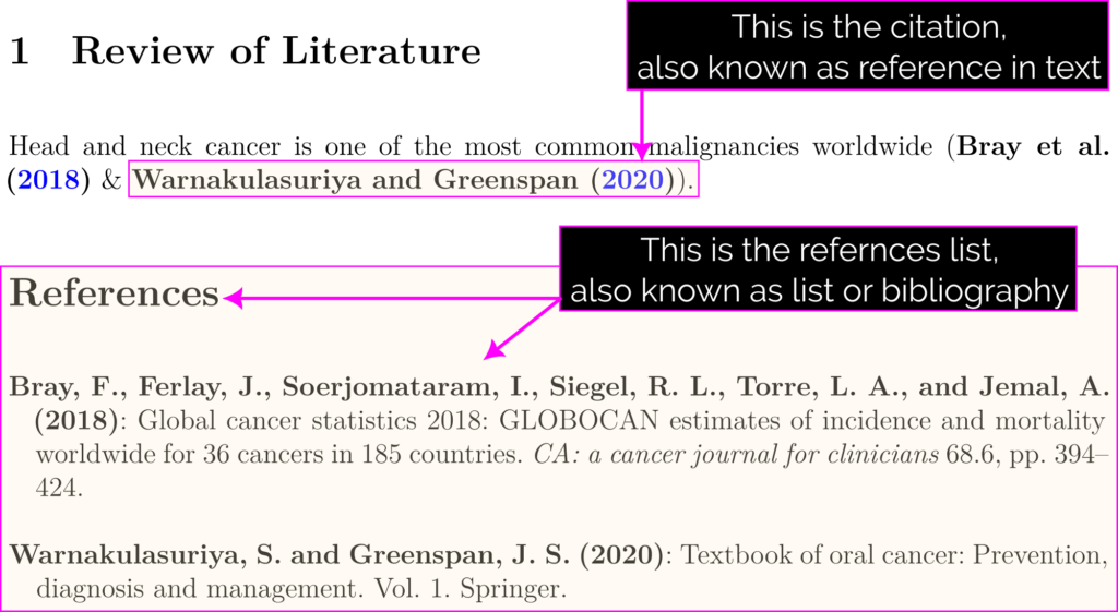 citation vs references